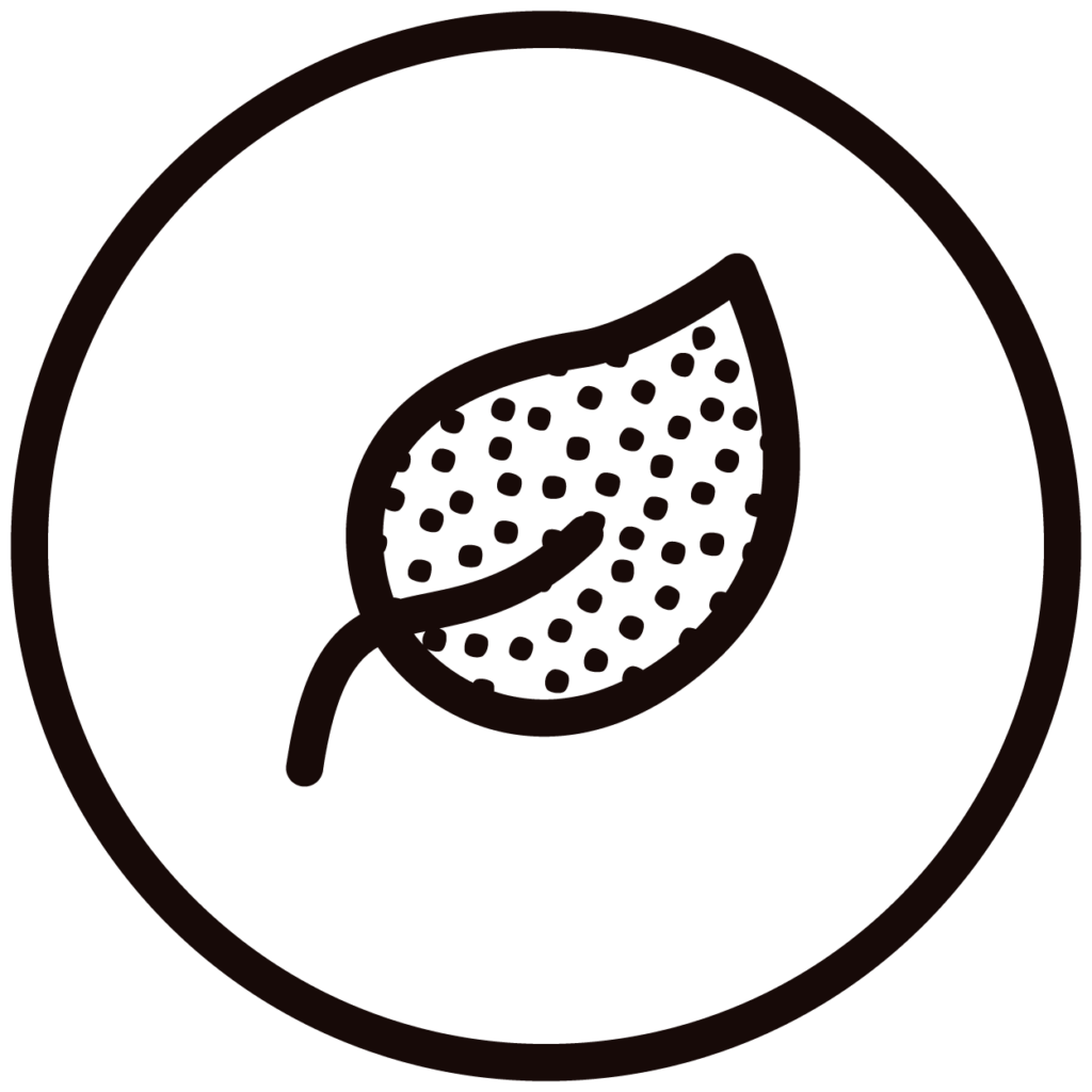 Icon leaf CJgvMjQs